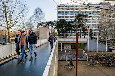 Bachelor psychologie in Tilburg vanaf 2027 in het Nederlands: ‘We willen een signaal afgeven aan de politiek’