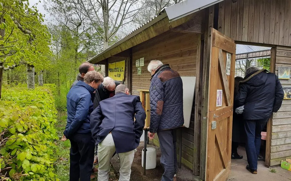 Dit is er deze week te doen in Friesland: van kennismaken met honingbijen tot een boomhut bouwen