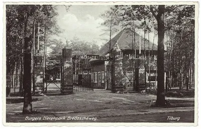 Toen in Tilburg: 9 x deze dieren liepen rond in de dierentuin aan de Bredaseweg