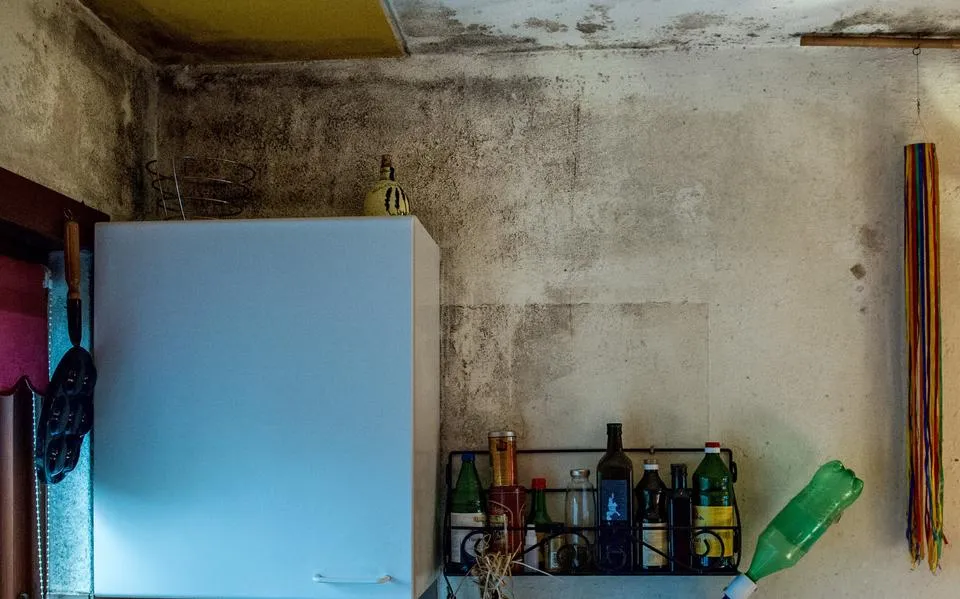 Schimmel en vocht in een op de vijf huizen in Nederland: Zuidoost-Friesland scoort hoog, ziet CBS