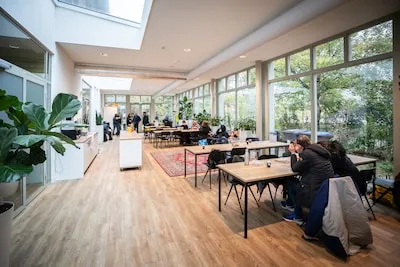 Stijging daklozen Eindhoven zet door: gemeente verlengt daarom contract met Springplank040