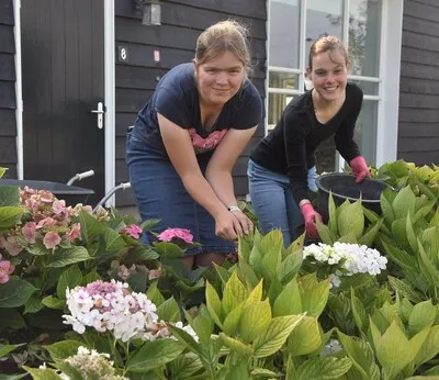 Trots op je tuin of terras? Deel je mooiste foto!