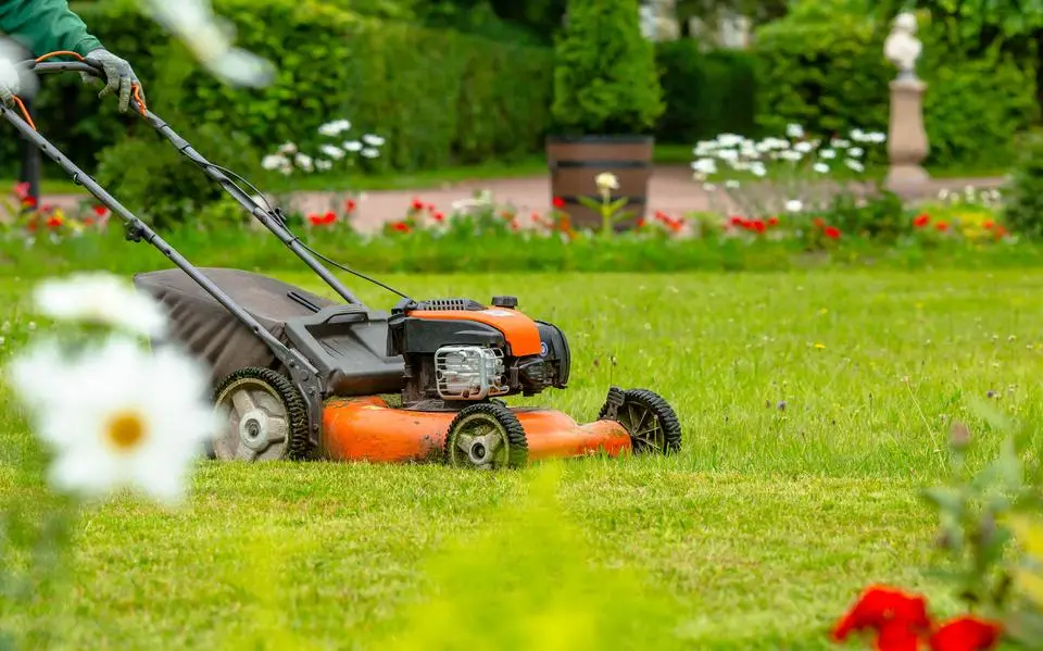 Van biljartlaken tot bloemetjesveld: tips van tuinman Martin voor een gezond gazon