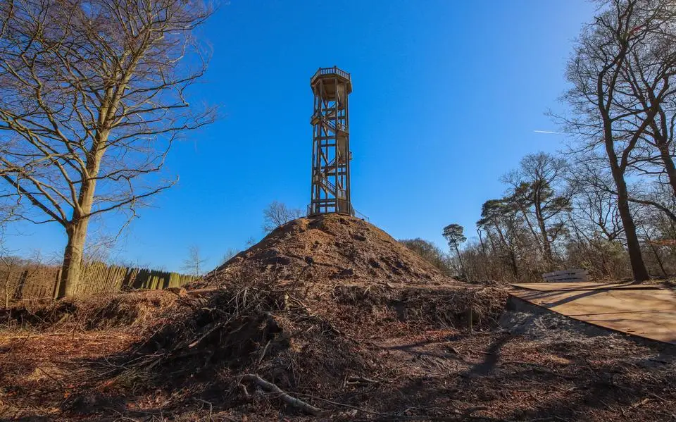 Ergernis over te rigoureuze bomenkap bij Belvedère-toren in Oranjewoud: ‘Een kaalslag’