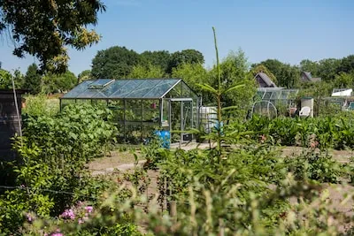 Waalre wil eerder beginnen met nieuwe wijk Ekenrooi Zuid, woningnood en grote woningbouwopgave vereisen versnelling