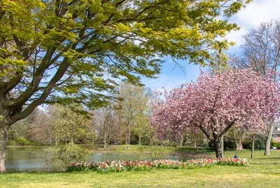 Weerbericht Pasen: 'De kans op lekker weer is nog niet verkeken'