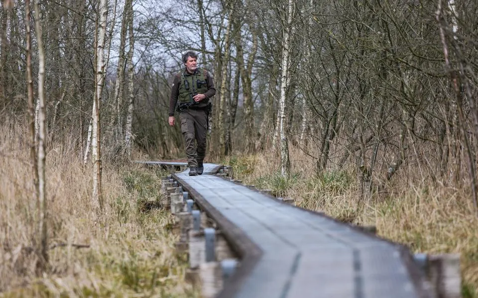 Maaimachines en loslopende honden. In het broedseizoen op pad met groene boa Yvo (55): ‘Dat kost je dan 110 euro’