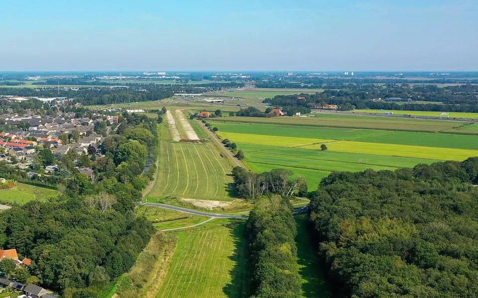 Koeien begrazen het openbaar groen in Joure