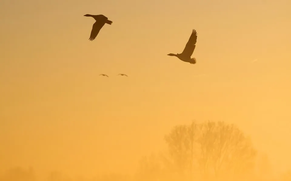 Waar viel in april de meeste regen in Friesland en waar scheen de zon het vaakst? Dit is het weeroverzicht