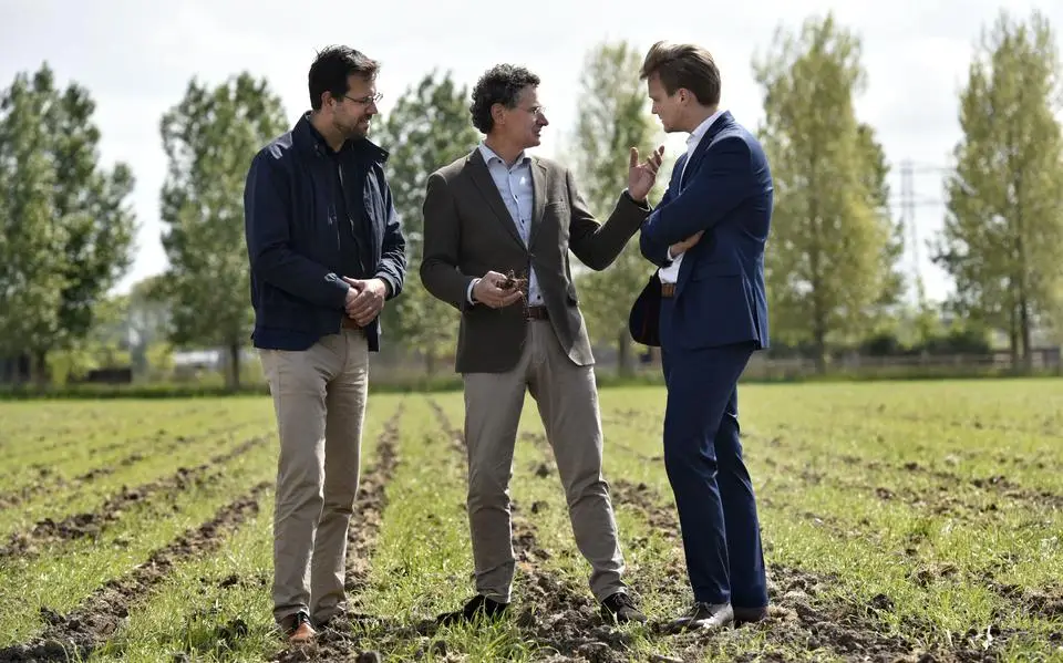 De straatstenen van Middelsee in Leeuwarden groeien nu al in de wijk