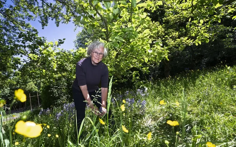 Bondje van vechters met een groen hart
