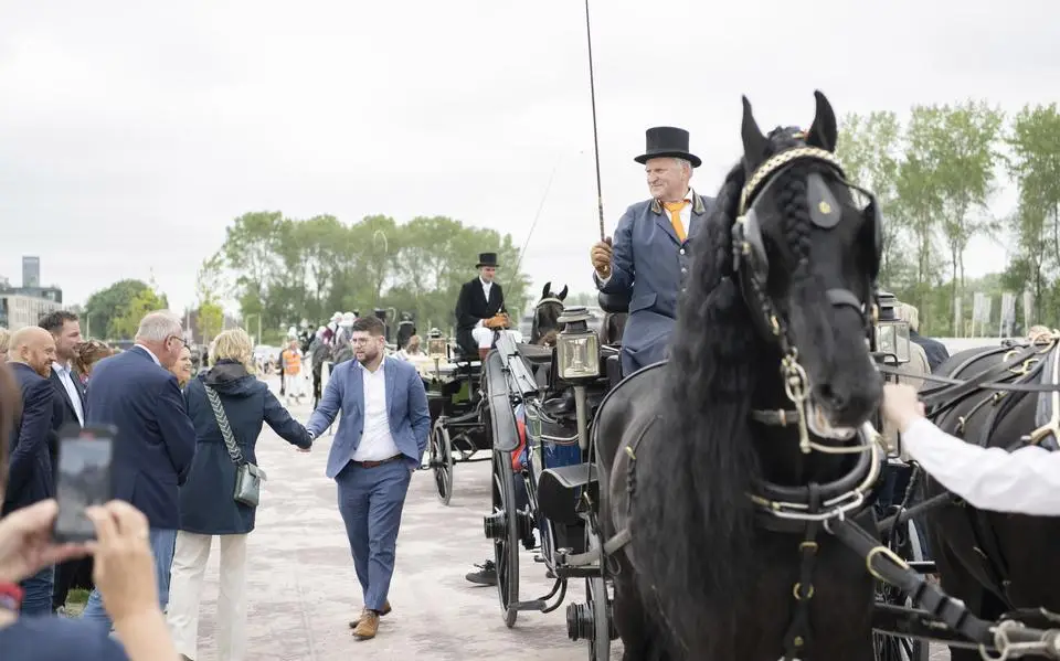 Zestien Friese paarden halen Sijbe Knol op van het Provinsjehûs in Leeuwarden