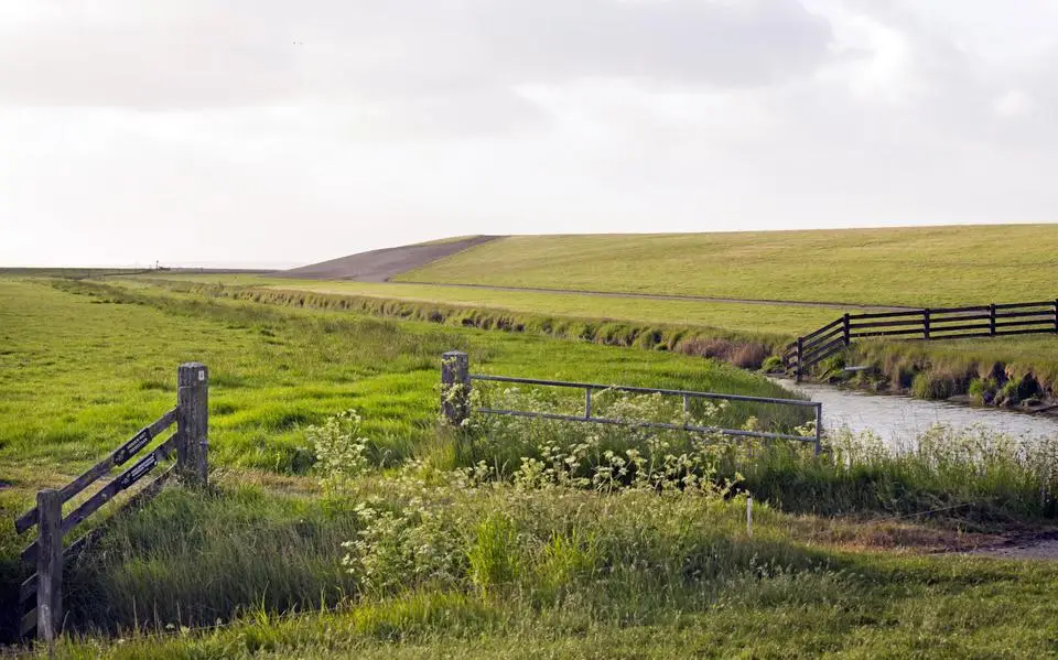 Groene dijk langs Waddenzee is een lastig geval, toch houdt die de voorkeur
