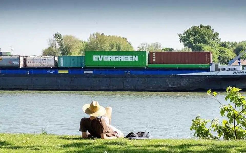 Grijze start maakt plaats voor zon: stralende middag met temperaturen tot 21 graden