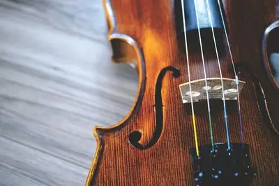 Themaochtend licht klassieke muziek in Breugel