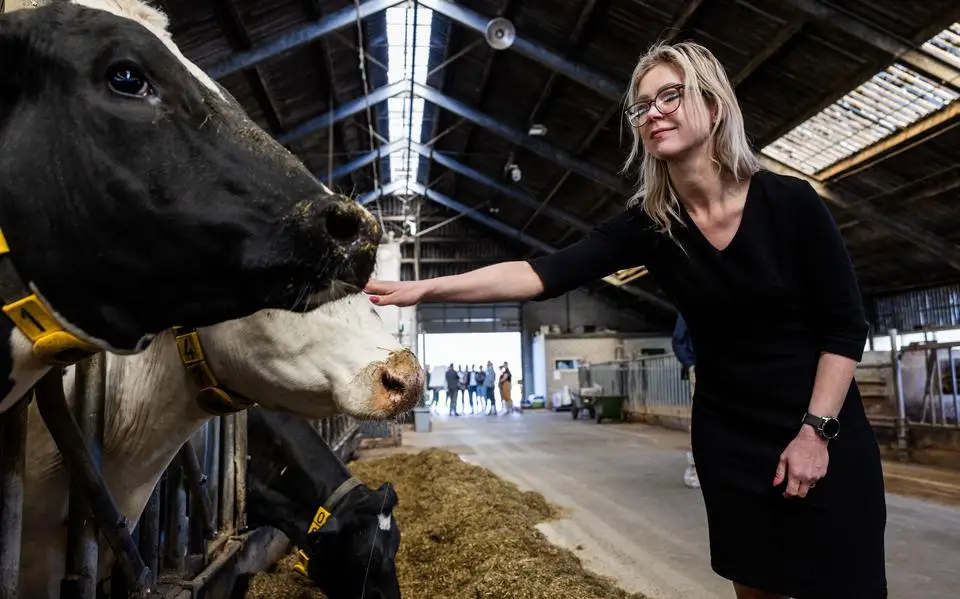 Hoelang dicteren boeren nog het stikstofbeleid? | opinie
