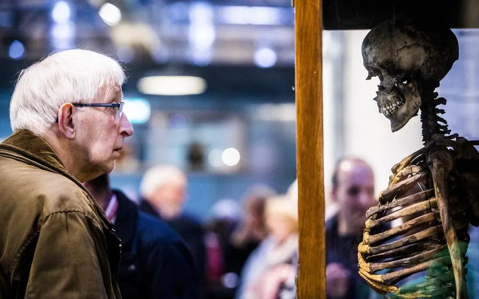 Friesland, Groningen en Drenthe moeten waarschijnlijk flink lappen voor verbouwing archeologisch depot in Nuis. 'Schimmel in de loodsen'