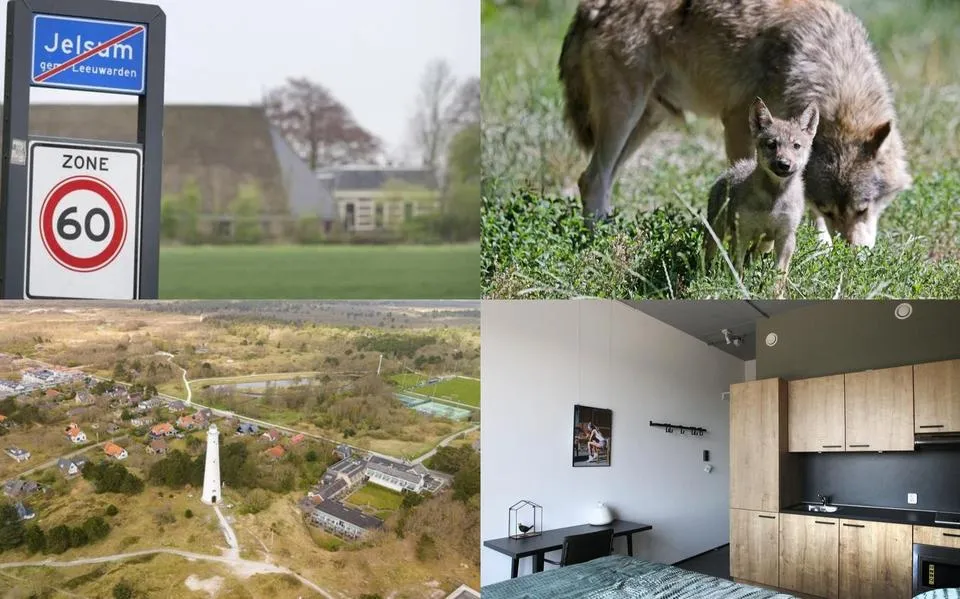 Prijzen studentenkamers in Leeuwarden flink gestegen &amp; wie wil dit mega-schilderij hebben? | nieuws uit Friesland van 8 mei