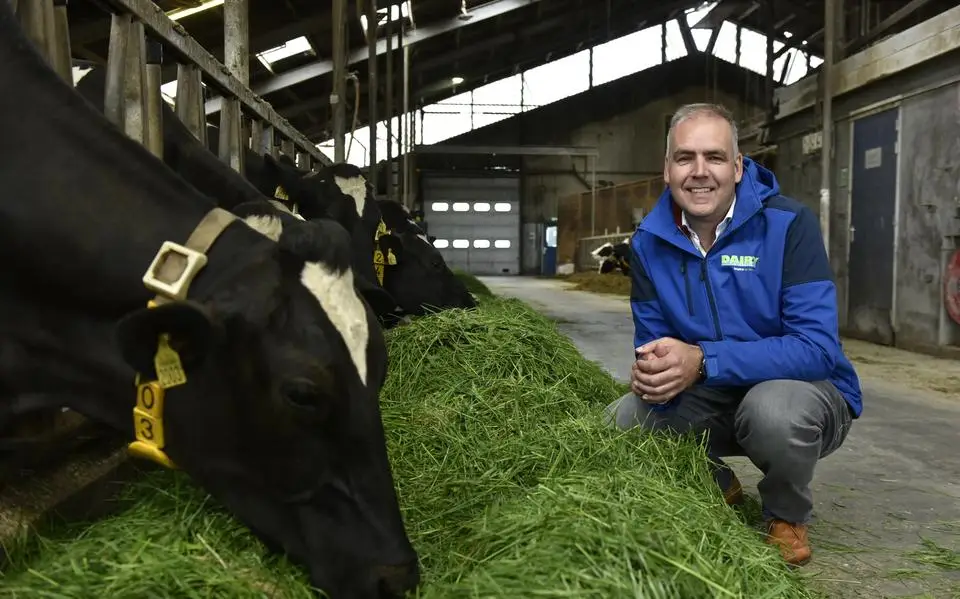 Dairy Campus bouwt in Leeuwarden stal van de toekomst die veel minder stinkt. ‘Drijfmest is verleden tijd’