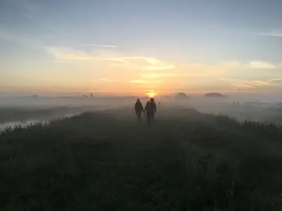 Dauwtrappen in De Groote Peel
