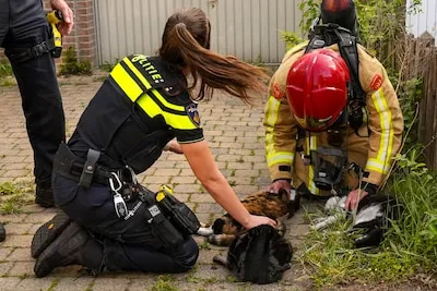 Moeder, zoontje (2) en vijf katten maken het redelijk na verwoestende brand: ‘Hulp had geen minuut later moeten komen’