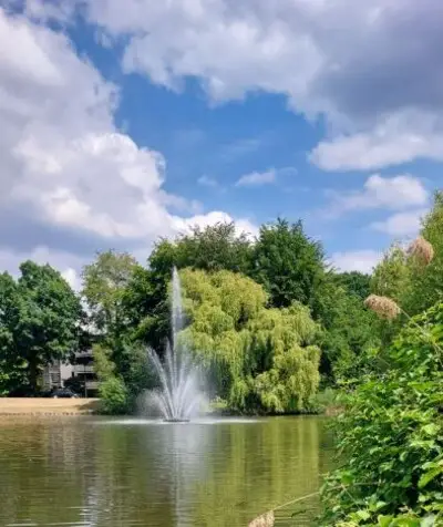 Nieuwe fontein geplaatst in vijver in Son en Breugel