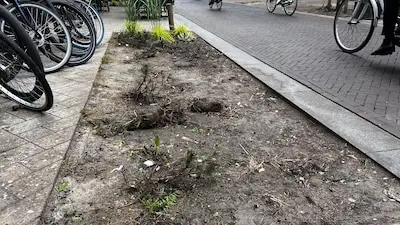 Ondernemers Kleine Berg draaien op voor schade aan groen op Koningsdag