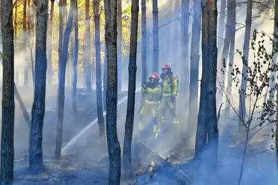 Bosbrand langs A2 tussen Leende en Aalst onder controle, drie vuurhaarden geblust