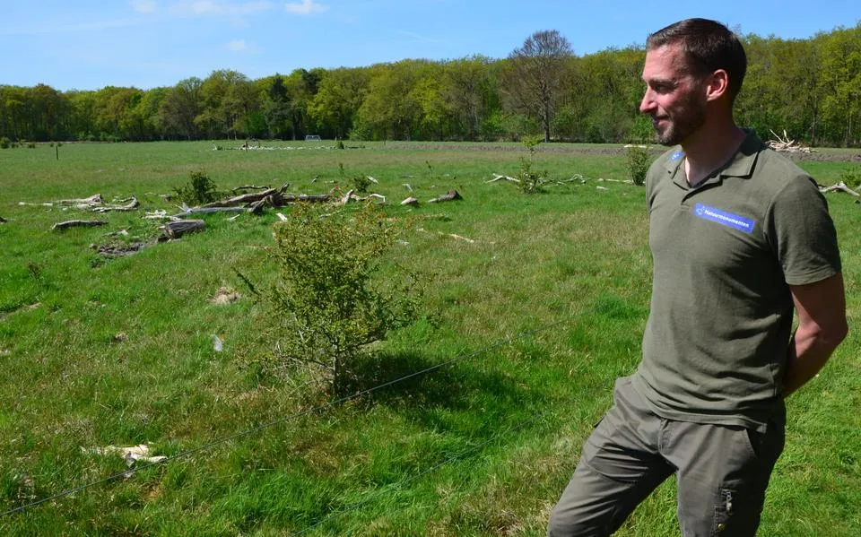 Proefvelden in Lykclamabos voor ombouw naar kruidenrijk land. De Vries: ‘Hoe kinne we hjir de soartenrykdom better krije’