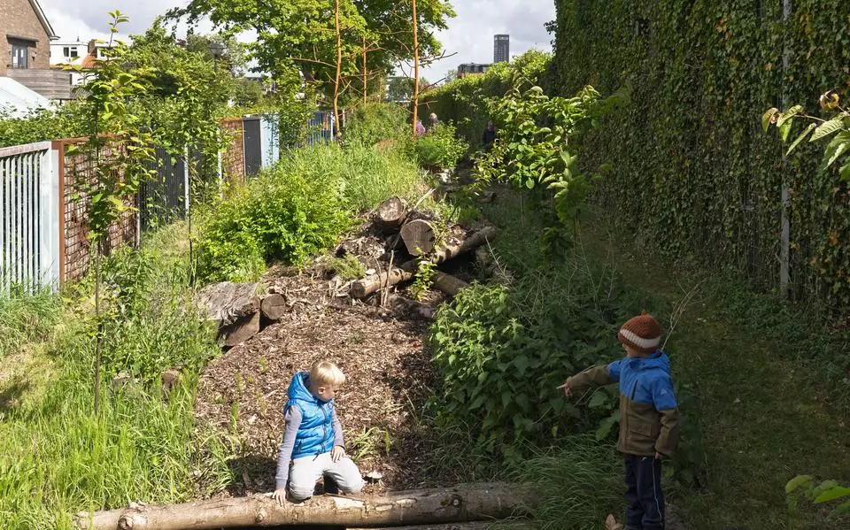 Verborgen achter hek en muur barst dit stukje Leeuwarden van het leven: ‘In organisearre gaos’