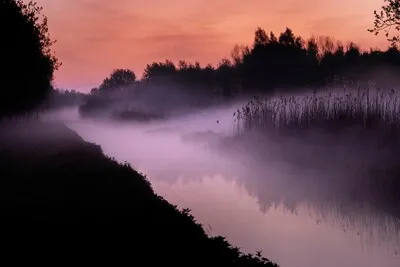 Avond over natuur- en landschapsbeheer in Son en Breugel