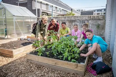 Groenten kweken en oogsten leert Helmondse schooljeugd in Het Houten Hartje