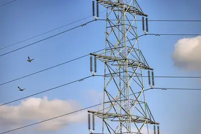 Routes bekend voor hoogspanningslijn Maasbracht-Eindhoven