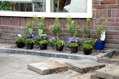 Groenbus komt naar Woensel-Zuid