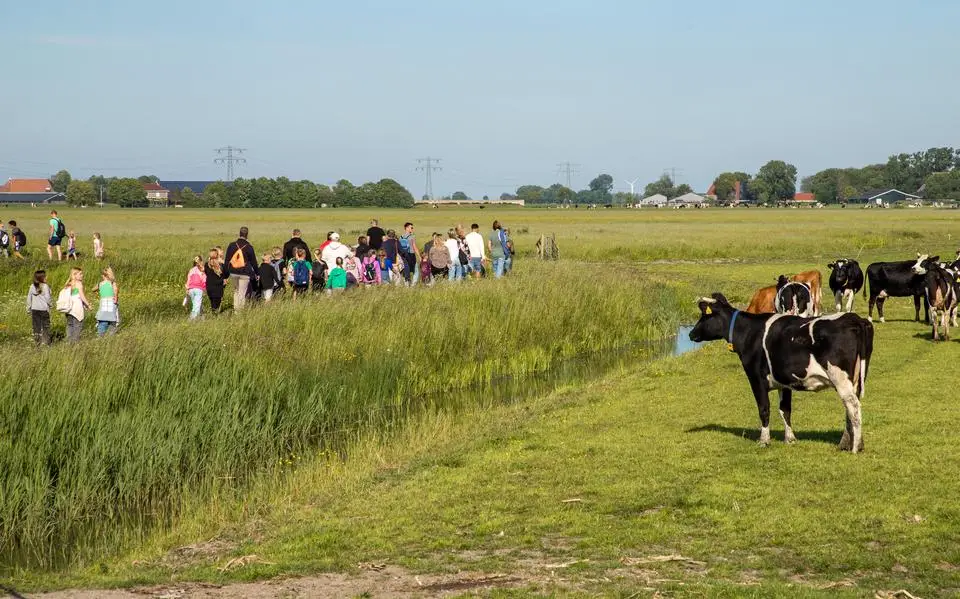 75e Avondvierdaagse Bolsward