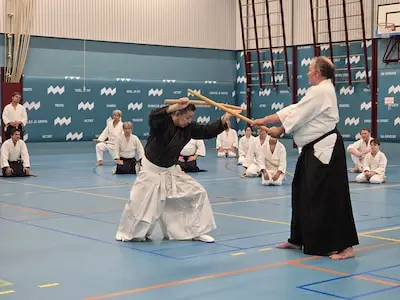 Japans spektakel in Meerhoven als grootmeester Fumio Matsuki zijn zwaardkunsten toont