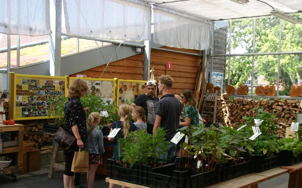 Voorjaarsmarkt, Bijenmarkt en Open tuin. Dit en meer is er dit weekend te doen in Friesland