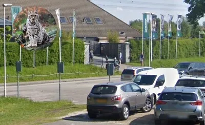 Lynx ontsnapt uit Eindhoven Zoo: dier op de vlucht richting Nuenen