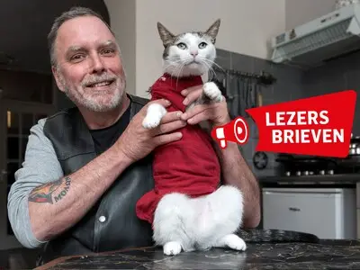 Beste poezenliefhebbers, houd uw beesten thuis