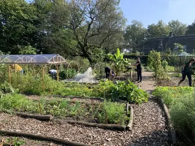 Open tuinendag in Helmond
