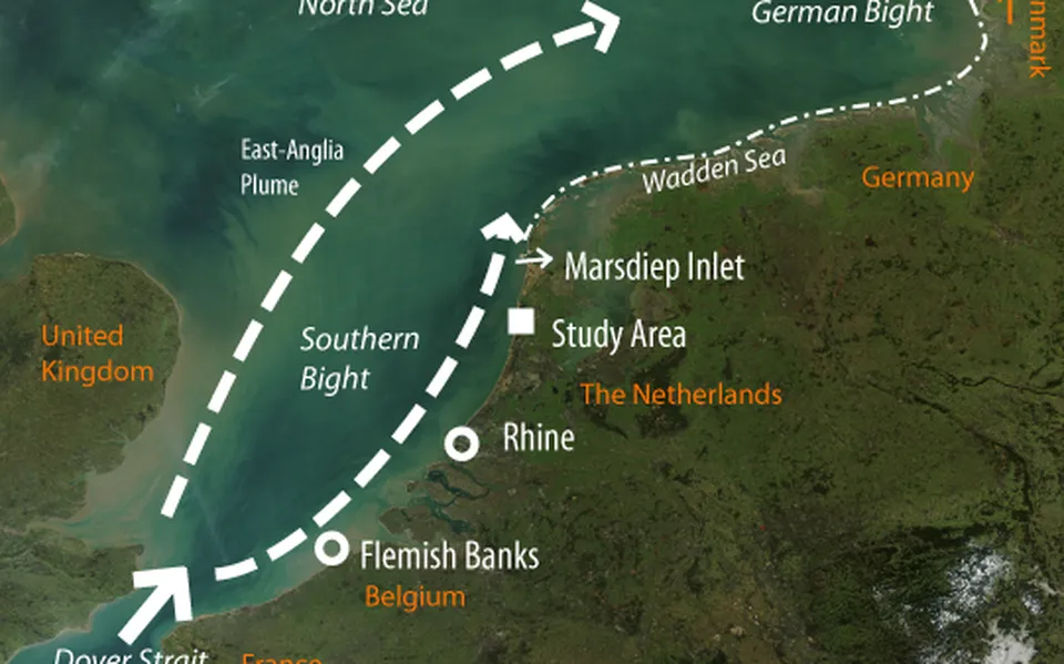 Als ze in Zuid-Holland anders gaan baggeren, heeft dat gevolgen voor de Waddenzee (zo blijkt uit onderbelicht slibonderzoek) | WadWeten