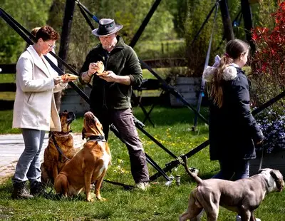 Bark &amp; Bite Festival