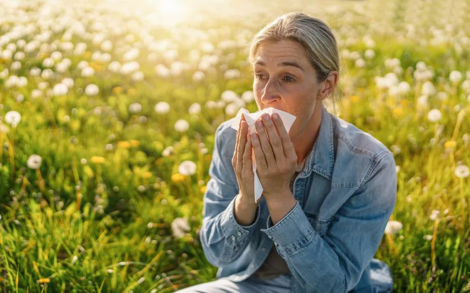 Zo wapen jij je tegen pollen: hoogleraar over zin en onzin van remedies tegen hooikoorts