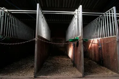 Begeleider zorgboerderij voor de rechter na intiem aanraken cliënte: ‘Mijn werkwijze past niet meer bij deze tijd’