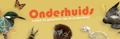 Tentoonstelling over prepareren opent in Natuurmuseum Brabant in Tilburg
