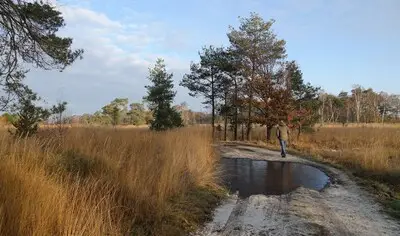Op soortenjacht door De Groote Peel