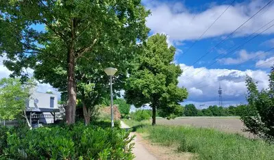 Zorgen over uitbreiding hoogspanningsstation in Tongelre