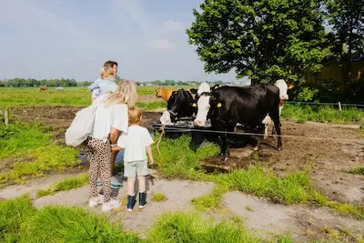 Bij deze boerderijen nabij Eindhoven kun je binnenkort een kijkje achter de schermen nemen