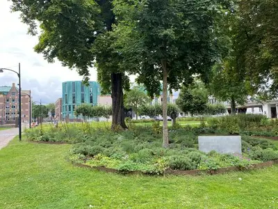 Pollen in Helmond: deze plekken vermijd je liever als je hooikoorts hebt