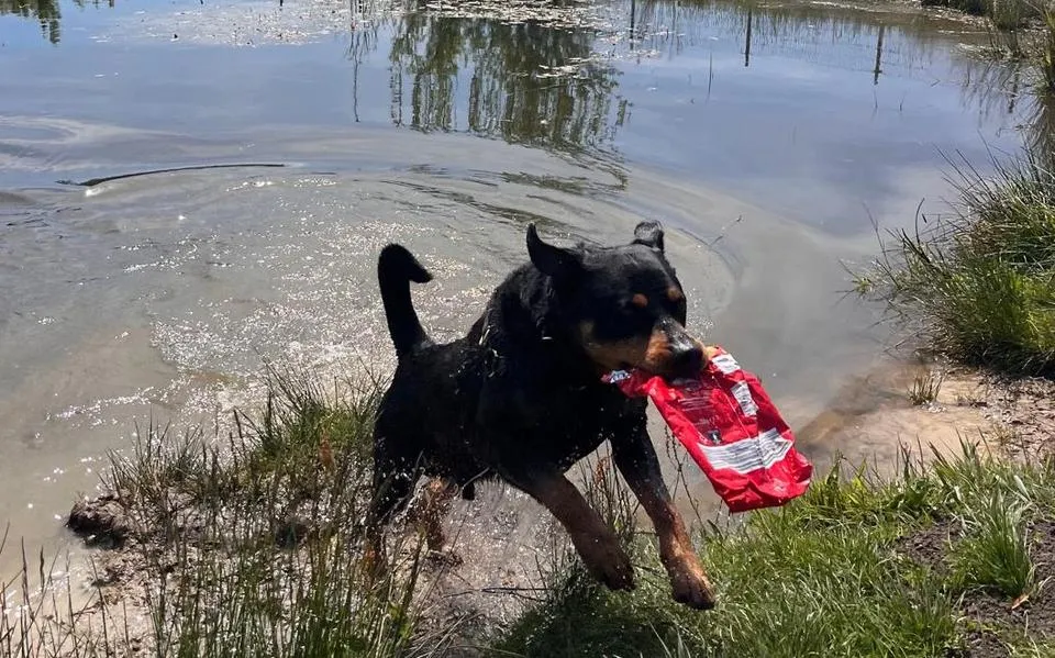 Nelleke (42) ruimt zwerfvuil op in Burgum: hond Max helpt flink mee
